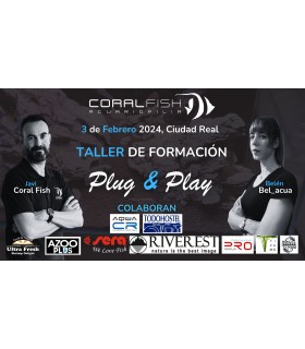 Taller PLUG & PLAY