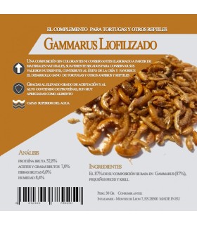 Gammarus Liofilizado