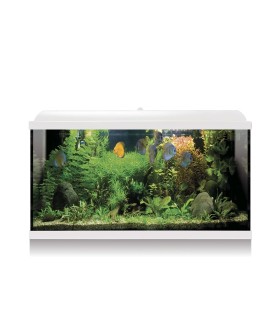 Kit Acuario Aqua LED Pro 100L. ICA