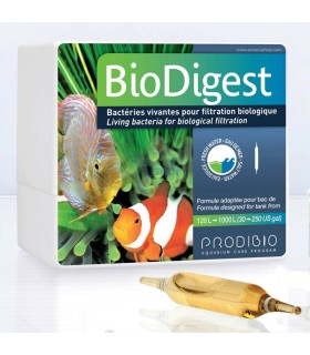 Bio Digest Prodibio (1 ampolla)