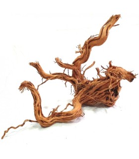 Twist Root