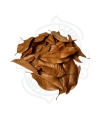 Hoja de Magnolio Pack 30 und.